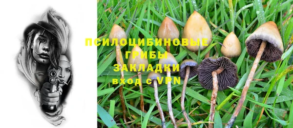 крисы Михайловск