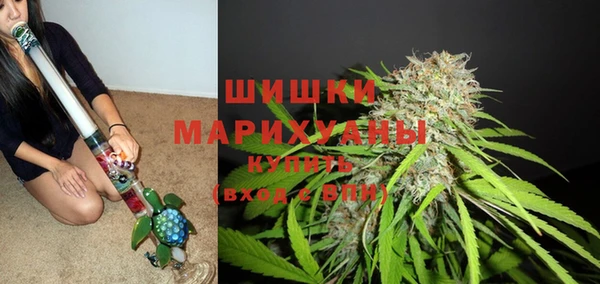 крисы Михайловск