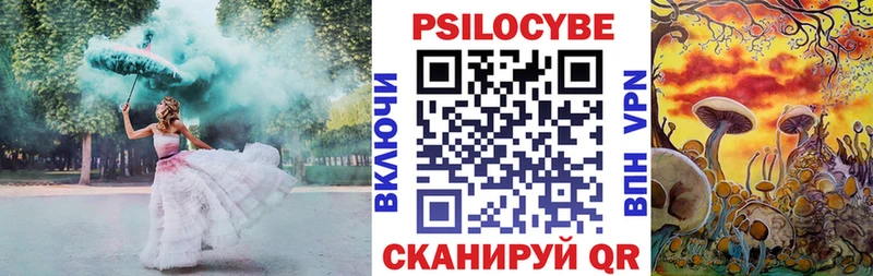Галлюциногенные грибы GOLDEN TEACHER  наркошоп  Светлоград 