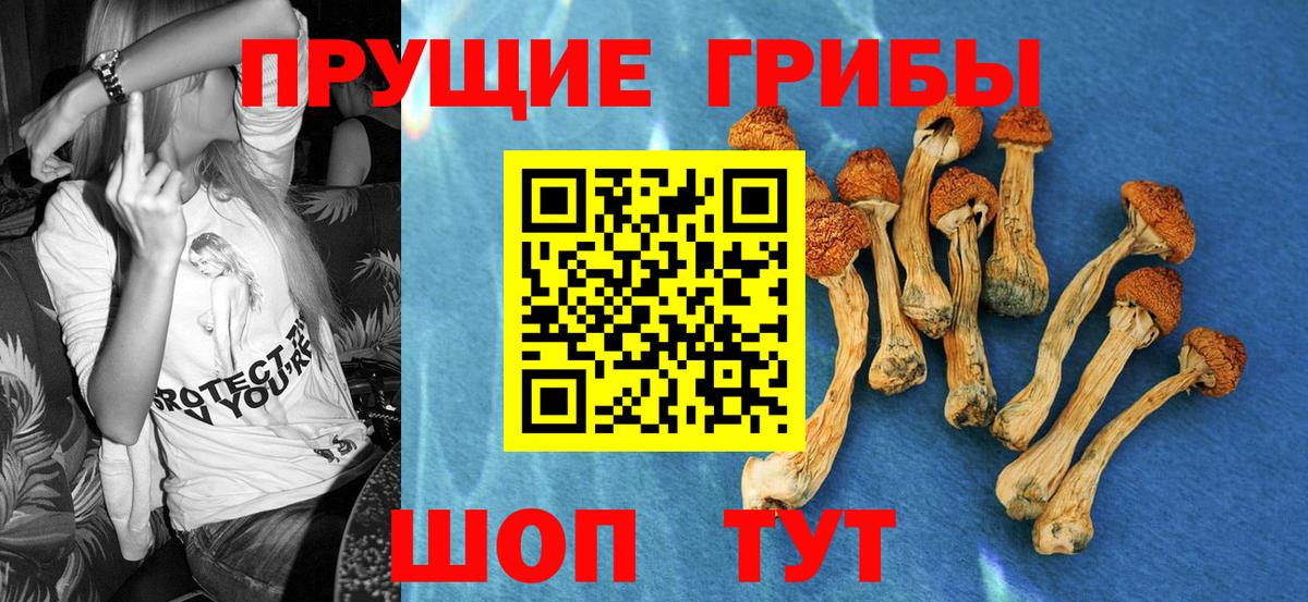 Псилоцибиновые грибы Magic Shrooms  Вход с VPN  Галлюциногенные грибы MAGIC MUSHROOMS  Светлоград 