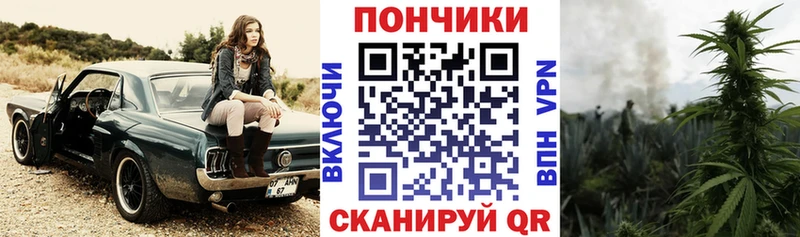 Бошки Шишки планчик  дарк нет официальный сайт  Светлоград 